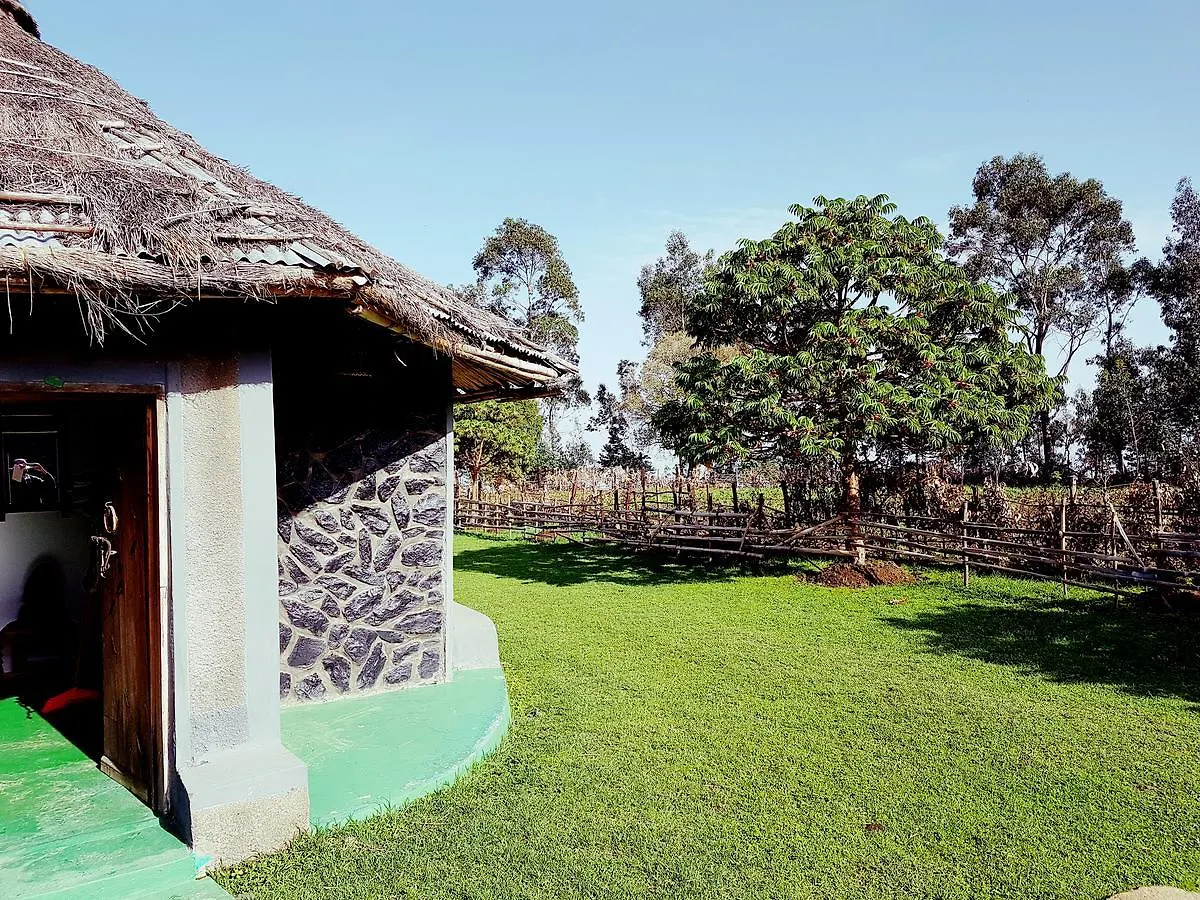 Befikir Kossoye Ecology Lodge Amba Giorgis
